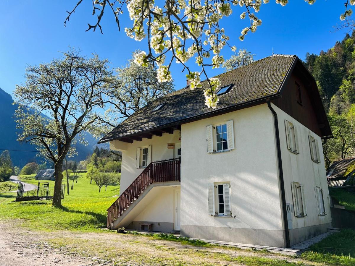 Apartments Mala Korita Soce Soča Exterior foto