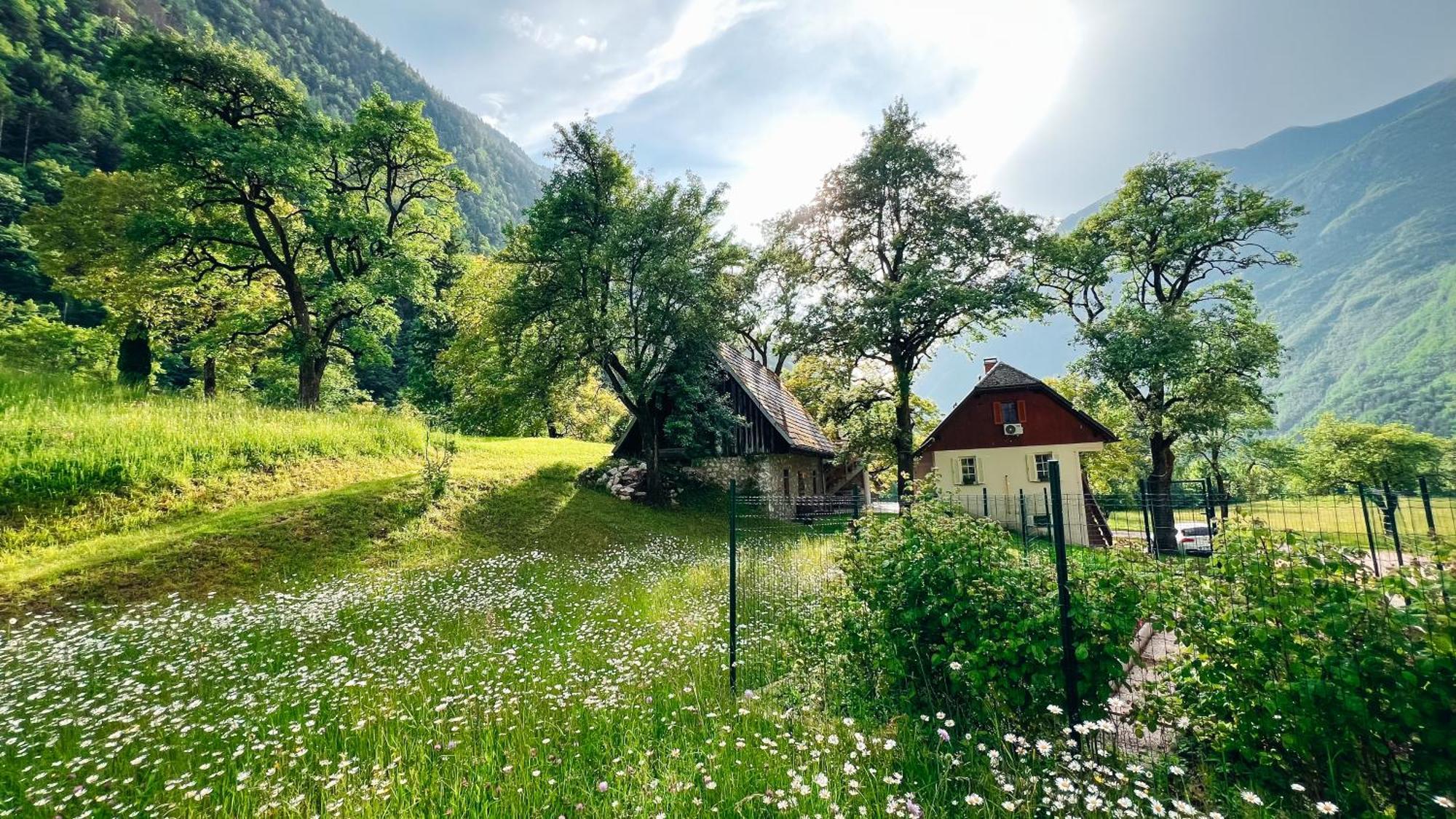 Apartments Mala Korita Soce Soča Exterior foto
